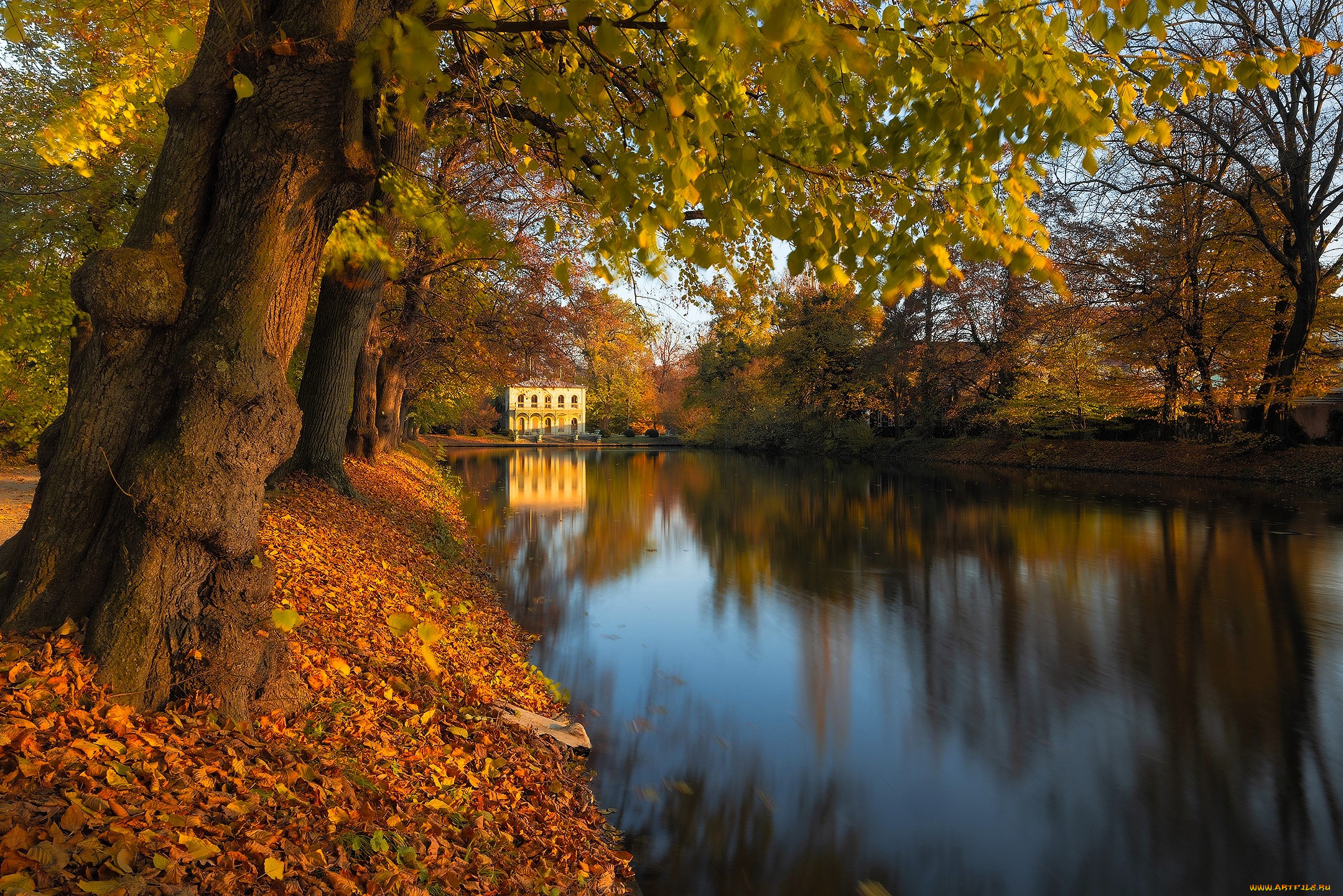 , - ,  , , , , , , , 